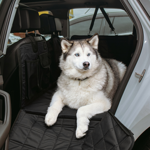Funda de Asiento para Mascotas